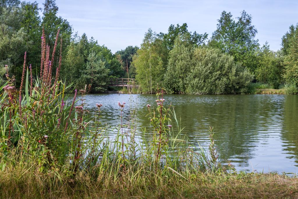 مول Oostappen Vakantiepark Zilverstrand المظهر الخارجي الصورة